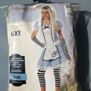 Alice in Wonderland Child Costume Child X-Large